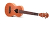 dan-ukulele-music-tim-full-go-mahogany-vinaguitar-phan-phoi-chinh-hang