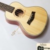 da-n-ukulele-concert-tenor-bws-mv-chu