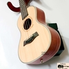 da-n-ukulele-concert-tenor-bws-mv-chu