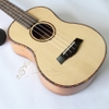 da-n-ukulele-music-concert-tenor-mvvd-vinaguitar-phan-phoi-chinh-hang