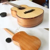da-n-ukulele-music-concert-tenor-mvvd-vinaguitar-phan-phoi-chinh-hang