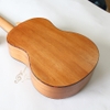 da-n-ukulele-music-concert-tenor-mvvd-vinaguitar-phan-phoi-chinh-hang