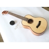 da-n-ukulele-music-concert-tenor-mvvd-vinaguitar-phan-phoi-chinh-hang