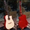 dan-guitar-acoustic-rosen-r135-chinh-hang
