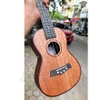 dan-ukulele-concert-stiller-uk-2302-full-mahogany-vien-kham-do