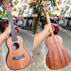 dan-ukulele-concert-stiller-uk-2302-full-mahogany-vien-kham-do