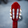 dan-guitar-classic-suzuki-cg-28
