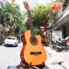 dan-guitar-classic-vinaguitar-vg-cef-go-laminated-gia-tot-danh-cho-nguoi-bat-dau