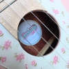 dan-ukulele-concert-daisy-jeni-thiet-ke-cao-cap-am-thanh-vuot-troi-ukulele-daisy