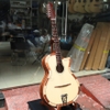 dan-guitar-vong-co-vinaguitar-vc-d2-phim-lom-go-diep-nguyen-tam-am-am-ngot-de-ch