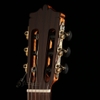 dan-guitar-martinez-mc48-tang-full-phu-kien-va-bao-hanh-2-nam