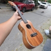dan-ukulele-concert-tenor-vinaguitar-vu72-mgv-go-mahogany-khoa-duc-phim-ngua-go-