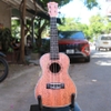 dan-ukulele-concert-tenor-vinaguitar-vu72-mgv-go-mahogany-khoa-duc-phim-ngua-go-