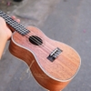 dan-ukulele-concert-tenor-vinaguitar-vu72-mgv-go-mahogany-khoa-duc-phim-ngua-go-