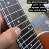 dan-ukulele-concert-tenor-vinaguitar-vu72-mgv-go-mahogany-khoa-duc-phim-ngua-go-