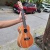 dan-ukulele-concert-tenor-vinaguitar-vu72-mgv-go-mahogany-khoa-duc-phim-ngua-go-