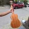 dan-ukulele-concert-tenor-vinaguitar-vu72-mgv-go-mahogany-khoa-duc-phim-ngua-go-