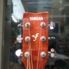 dan-guitar-acoustic-yamaha-f600-guitar-tot-trong-tam-gia