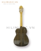 dan-guitar-classic-cg-16zebra