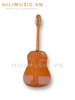 dan-guitar-acoustic-epiphone-dr-100