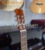 dan-guitar-classic-cg110