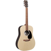 dan-martin-x-series-d-x2e-rosewood-acoustic-guitar-w-bag