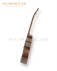 dan-guitar-acoustic-ag668-go-cam-lai-a-cao-cap