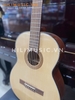 dan-guitar-classic-cg110