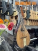 dan-mandolin-hili-md-12-mat-go-thong
