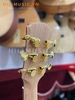 dan-guitar-acoustic-ag629-go-diep-nu-mau-li