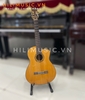 dan-guitar-classic-cg-16zebra
