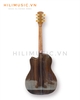 dan-guitar-acoustic-ag668-go-cam-lai-a-cao-cap