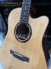 dan-guitar-acoustic-ag668-go-cam-lai-a-cao-cap