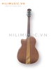 dan-guitar-acoustic-ag-622-go-mix-cao-cap