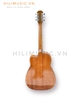 dan-guitar-acoustic-ag210