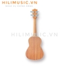dan-ukulele-concert-dallas-dl23