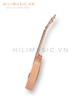 dan-guitar-acoustic-syairi-ym02-1-2