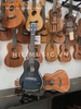 dan-ukulele-concert-dallas-dl23