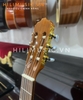 dan-guitar-classic-g202-mau-bong