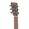 dan-martin-x-series-gpc-x2e-macassar-acoustic-guitar-w-bag