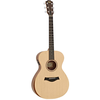 taylor-dan-guitar-acoustic-academy-12e