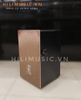 trong-cajon-ht-01-cao-cap