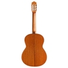dan-guitar-classic-cordoba-c5-sp-solid-02701