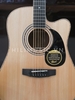 dan-guitar-acoustic-cort-ad-880ce-kem-eq-fisman
