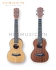 dan-ukulele-fender-concert-go-cao-cap-2-mau