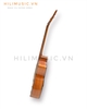 dan-guitar-acoustic-fge230-go-cao-cap-bon-mau