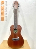 dan-ukulele-cao-cap-for-you