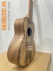 dan-ukuele-cao-cap-logman-cuke-sz24-concert