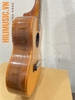 dan-ukulele-cao-cap-ssamson-sz23-concert
