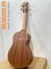 dan-ukulele-hoa-tiet-mat-troi-sz24-concert